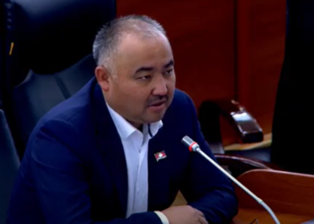 Депутат: «Бизди мугалимдер мындан катуу сабачу. Майып болуп калган жокпуз»