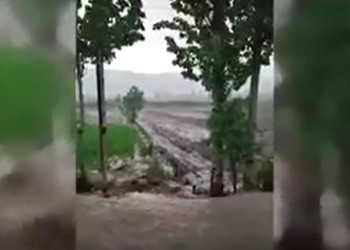 Ноокатта сел жүрүп, көпүрөнү агызып кетти