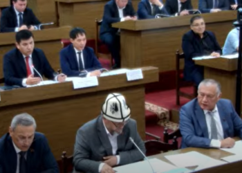 «Кыжырдантпасынчы». Депутат Айжигитов айыл чарба министринин орун басарын Жогорку Кеңешке келбей эле коюсун айтты