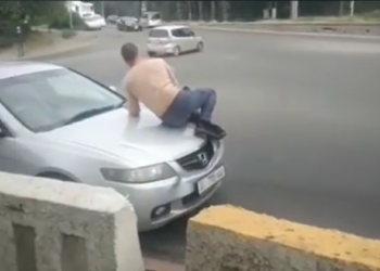 Унаага жабышкан жаран менен кошо унаасын айдаган айдоочуга айып салынды (видео)