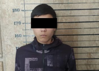 Бишкекте өспүрүм апасын коргойм деп, мас кишиге бычак сайган