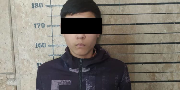 Бишкекте апасын коргойм деп, мас кишиге бычак сайган өспүрүм. Акыйкатчы аны бошотууну суранат
