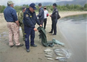 Ысык-Көлдө балык уулап жаткан жаран милицияга түштү