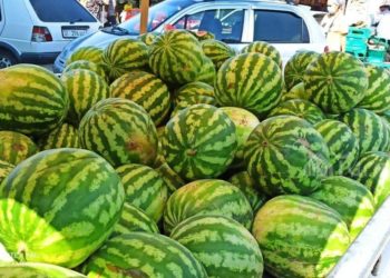 Аксы райондук администрация: «Өзбекстандан дарбызды киргизбегиле деп талап кылган эл жолду тоскон. Жол ачылды»