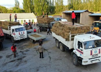 Миңдеген мал өлгөн Ак-Шыйрак айылына чөп жиберилди