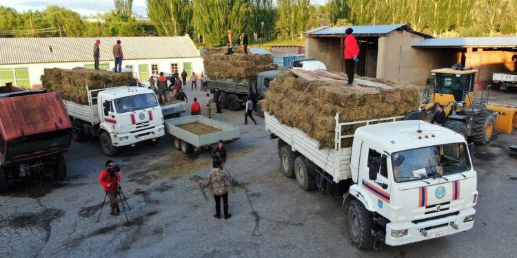 Миңдеген мал өлгөн Ак-Шыйрак айылына чөп жиберилди