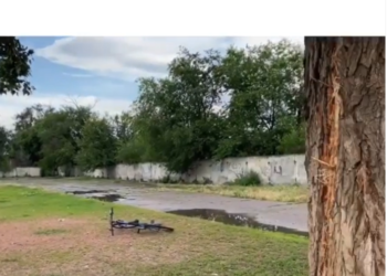 Токмоктогу чагылган түшкөн окуяга күбө: «Чагылган алар жашынып турган бакка түштү. Курбум шайыр жана сулуу болчу»