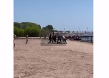 «Колунда бычактары бар болчу. Чолпон-Атанын тургундары ызы-чуу салып, баарыбызды коркутту» дейт эс алуучу (видео)