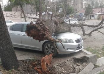 Бишкекте унааны бак басып калды (сүрөт)