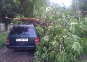 Жалал-Абадда болгон катуу шамал үйлөрдүн, мектептин чатырларын учуруп, 8 унааны дарак басып калган