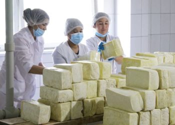 Ала-Букада күнүнө 120 тонна сүттү кайра иштетүүчү завод ишке кирди