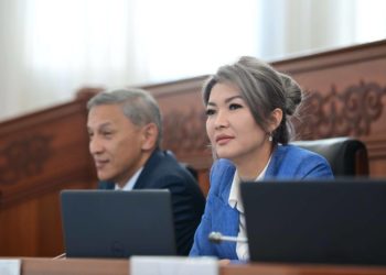 «Бааны эки-үч эсе кылбай, элди ойлоп коюуну суранам». Депутат Айдарова ишкерлерге кайрылды