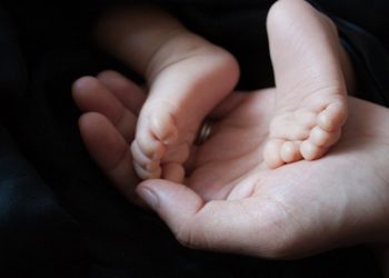 Таласта токой жээкте төрөп, ымыркайын көмүп салган келин тил кат менен бошотулган