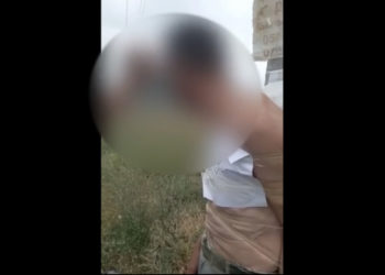 Чүйдө жол боюндагы мамыга байланган жаран тууралуу милиция маалымат берди