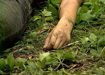 Түркияда токойдон 40 жаштагы кыргызстандык аялдын жансыз денеси табылган