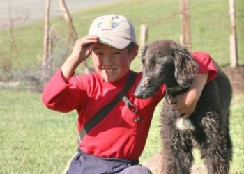 Өлкөдө алгачкы жолу тайган көргөзмөсү өтөт