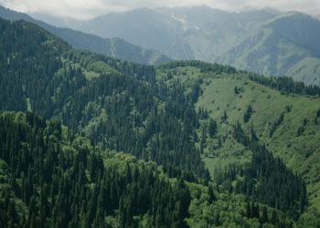 «Жашоодон тажап жатам». Жалал-Абадда 43 жаштагы жаран аялы менен сүйлөшкөн соң өмүрүнө кол салган