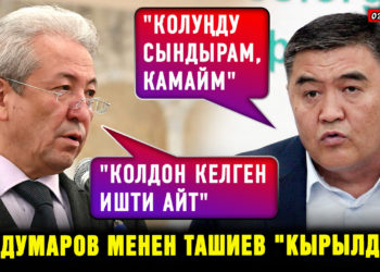ЖАҢЫЛЫКТАР. Мадумаров менен Ташиев «кырылды»