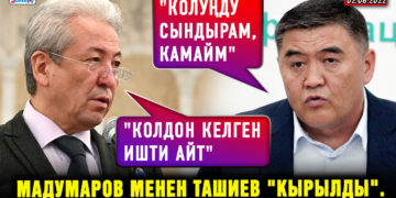 ЖАҢЫЛЫКТАР. Мадумаров менен Ташиев «кырылды»