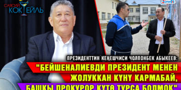 Абыкеев: «Бизде телефон өчүргөнгө уруксат жок. Садыр Жапаров түнү да жазып калат» #Саясий_коктейль