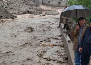 Баланы велосипеди менен кошо сел алып кеткен видео тарады