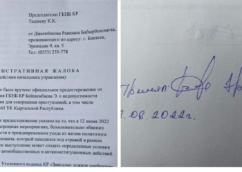 Равшан Жээнбеков Камчыбек Ташиевге Камчыбек Ташиевдин үстүнөн арызданды