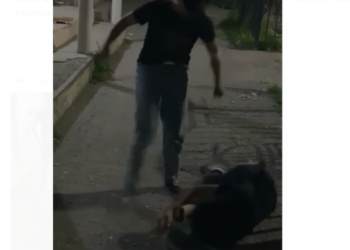 «Жерге жатып калган кызды тепкилеп». Жалал-Абадда мушташкан 2 курбунун видеосу тарады