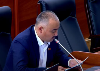 «Ар кадамыңызды соцтармакка жаза бербеңиз». Депутат Акыйкатчы кандай иштеши керек экенин айтты