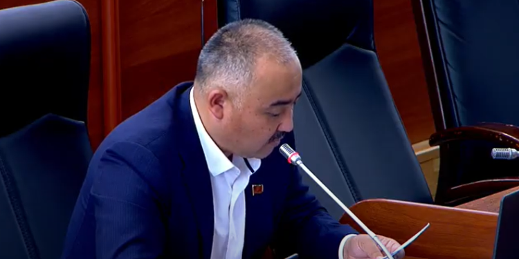 «Ар кадамыңызды соцтармакка жаза бербеңиз». Депутат Акыйкатчы кандай иштеши керек экенин айтты