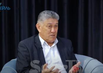 Президенттин кеңешчиси: «Алымкадыр Бейшеналиевдин кармалышы кызматтык этикага туура келбей калды»