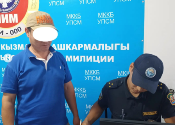 Бишкекте кичи автобустун эшигин ачкан жаран велосипедчен кишини кулаткан. Айдоочу табылды (видео)