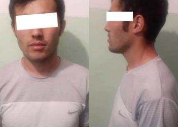 Өзбекстанда издөөдө жүргөн жаран Ошто кармалды