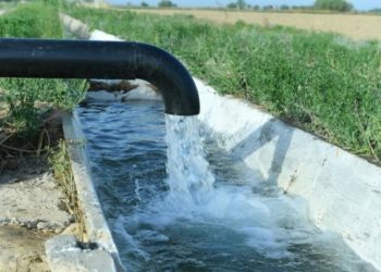 Казакстандын министри: «Кыргызстан Казакстанга сугат үчүн 330 миллион куб метр суу берет»