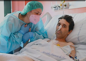 Италиялык жаран үйлөнгөндөн кийин «белекке» жаңы жүрөк алган