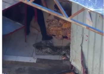 «Ош базарда» жерде жаткан ичеги-карынды бөлүштүрүп жаткан видео тарады (видео)