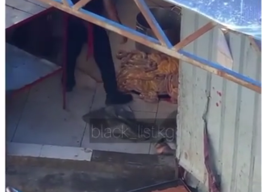 «Ош базарда» жерде жаткан ичеги-карынды бөлүштүрүп жаткан видео тарады (видео)