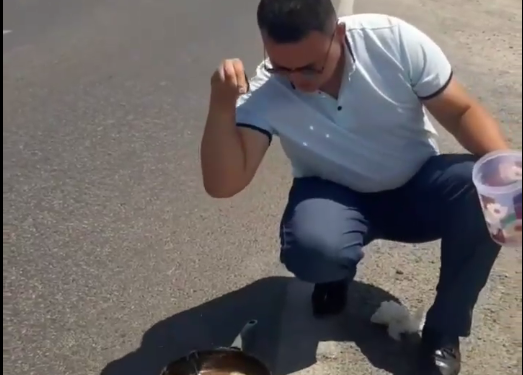 Күн ысыккы… Туркистанда автожолдо жумуртка кууруган видео тарады (видео)