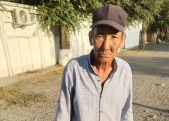 «Поезд катуу ылдамдыкта келаткан». Темир жолдо уктап калган жаран куткарылды (видео)