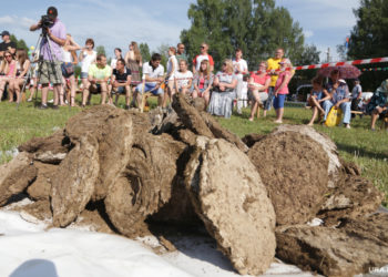 Орусияда уйдун тезегин алыстыкка ыргытуу боюнча жарыш өттү (фото)