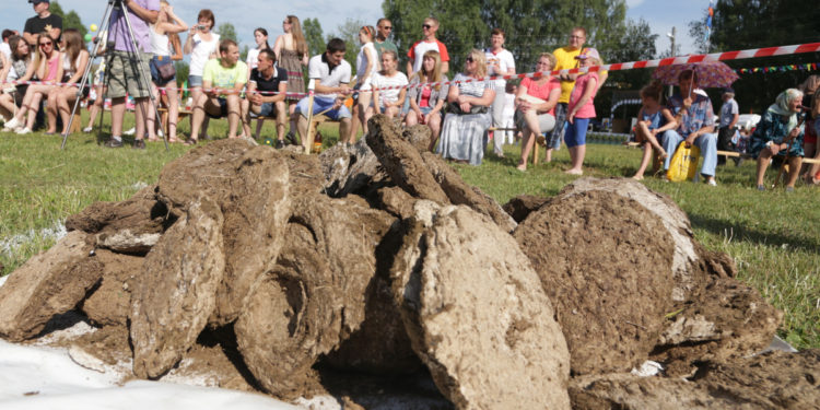 Орусияда уйдун тезегин алыстыкка ыргытуу боюнча жарыш өттү (фото)
