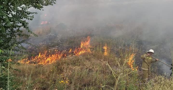 Бишкекте Түштүк магистралдагы 2 гектар чөп күйүп кетти