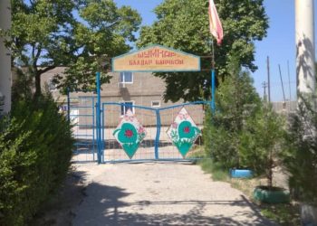 Лейлекте бала бакчанын кызматкери 6 жаш баланы сүзүп кетти. Бир баланын абалы оор