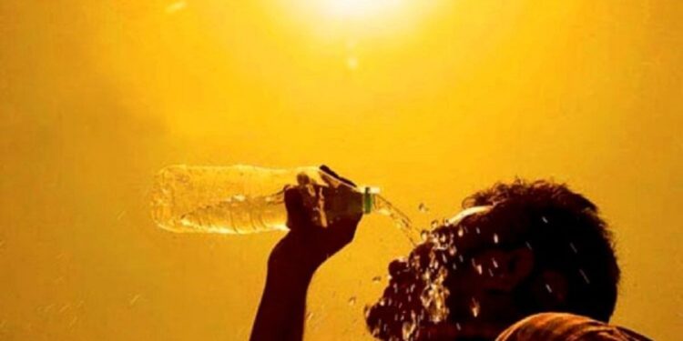 +42… Мээ кайнаткан ысык уланууда. Ысыкта жумуш токтотулуусу керектиги айтылды