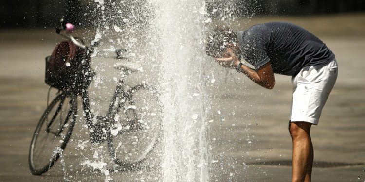 Коңшу Казакстан менен Тажикстанда да мээ кайнаткан ысык күтүлүүдө