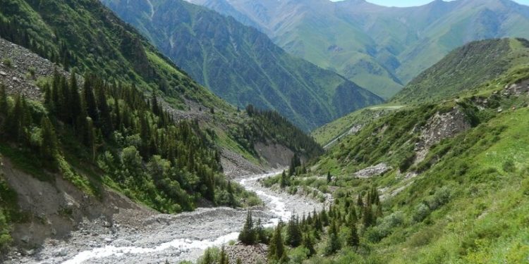 «Ала-Арча» паркы 8-июлга чейин жабык болот