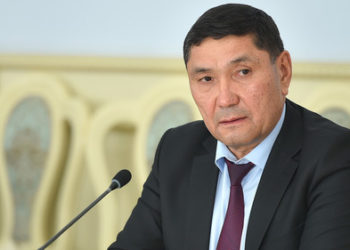 Министр Казакстандан гуманитардык жардамга келген үрөндөр 42,5 сомго сатылганын ырастады