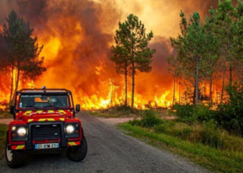 Испания менен Португалияда мээ кайнаткан ысыктан 600 чакты адам каза болду