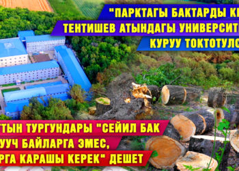 Канттын тургундары «сейил бак бир ууч байларга эмес, шаарга карашы керек» дешет