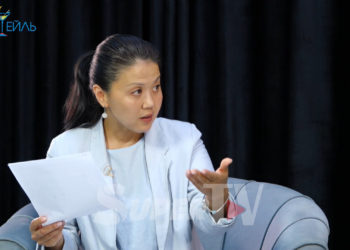 Карындашын коргоп, ок чыгарган жарандын окуясы. «Күчтүү адвокаттарды жалдашкан» дейт акыйкатчы