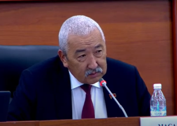 Депутат Улуттук банктын төрагасына: «5 миң сомдукту басып чыгарып, көбүрөөк акча табууга азгырылып жаткан жокпузбу?»